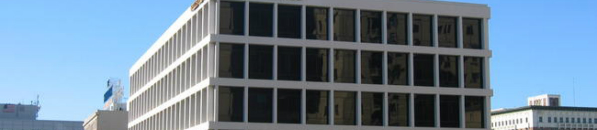 Los Angeles Criminal Lawyer